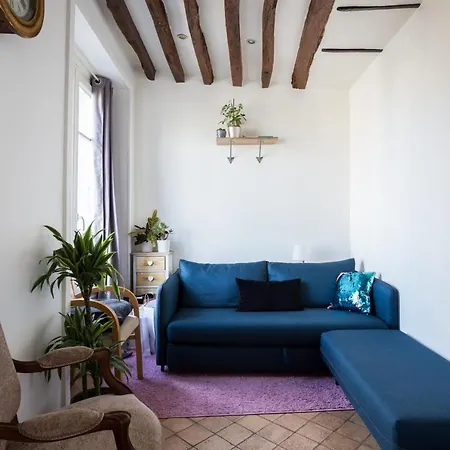 Design With View On The St-martin Canal Apartment