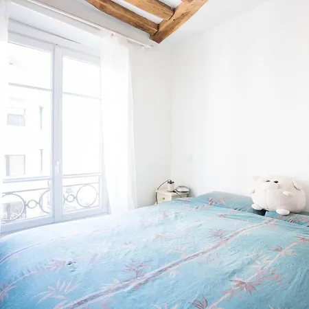 Apartment Design With View On The St-martin Canal